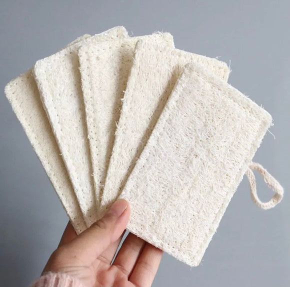 Loofah Dish Sponge